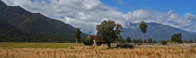 Old Shed West Coast 2