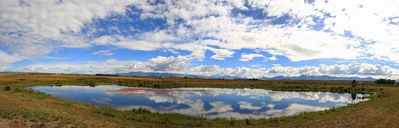 Pond Near Waipiata