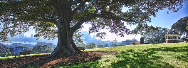 Above The Rocks Sydney 2