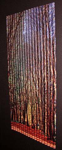 Corrugated Iron Wanaka Lane (side)