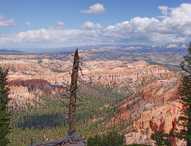 Bryce Canyon
