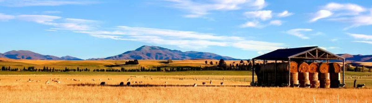 old Hay Shed Ida Valley