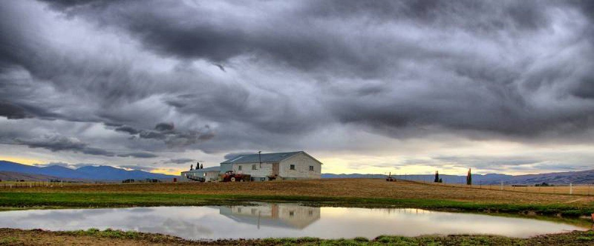 Shearing Shed Ida Valley